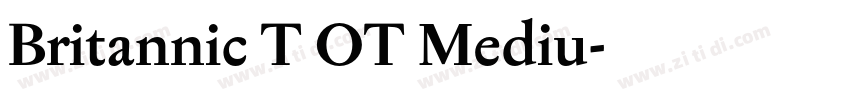 Britannic T OT Mediu字体转换